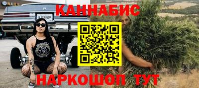 сатива Гагарин