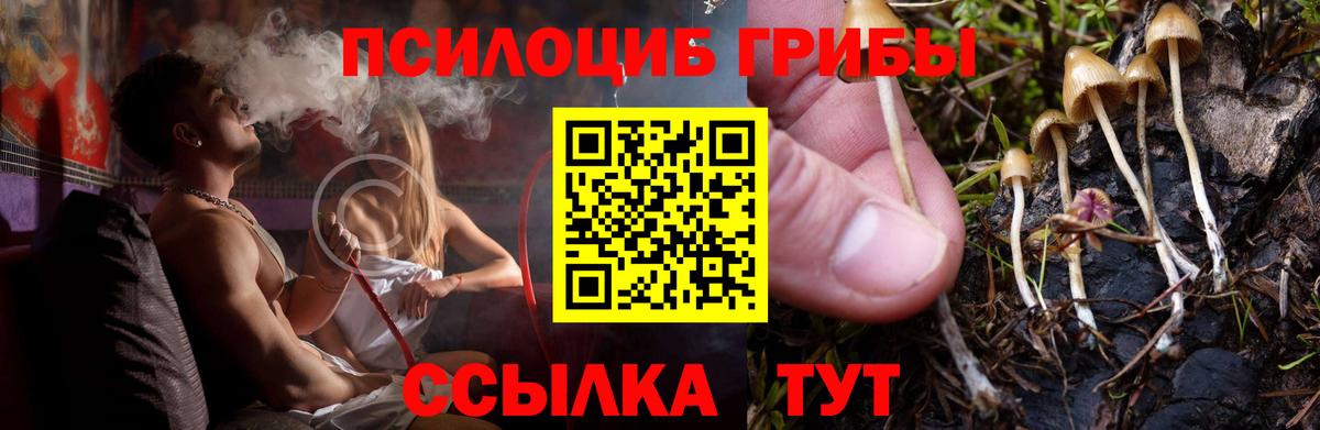 Псилоцибиновые грибы мухоморы Челябинск